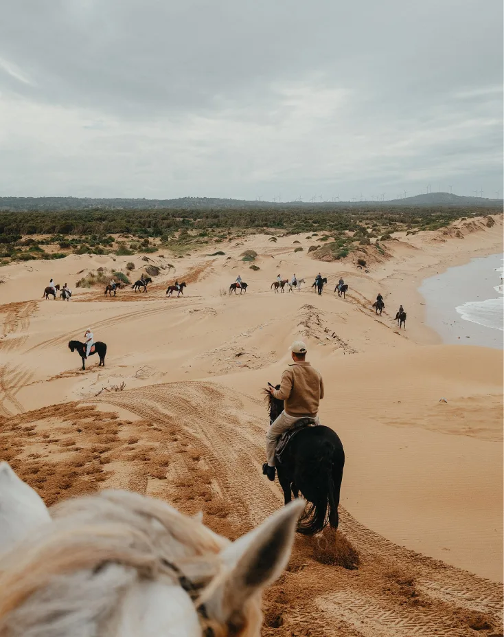 Coolsurfhouse notre histoire cheval plage